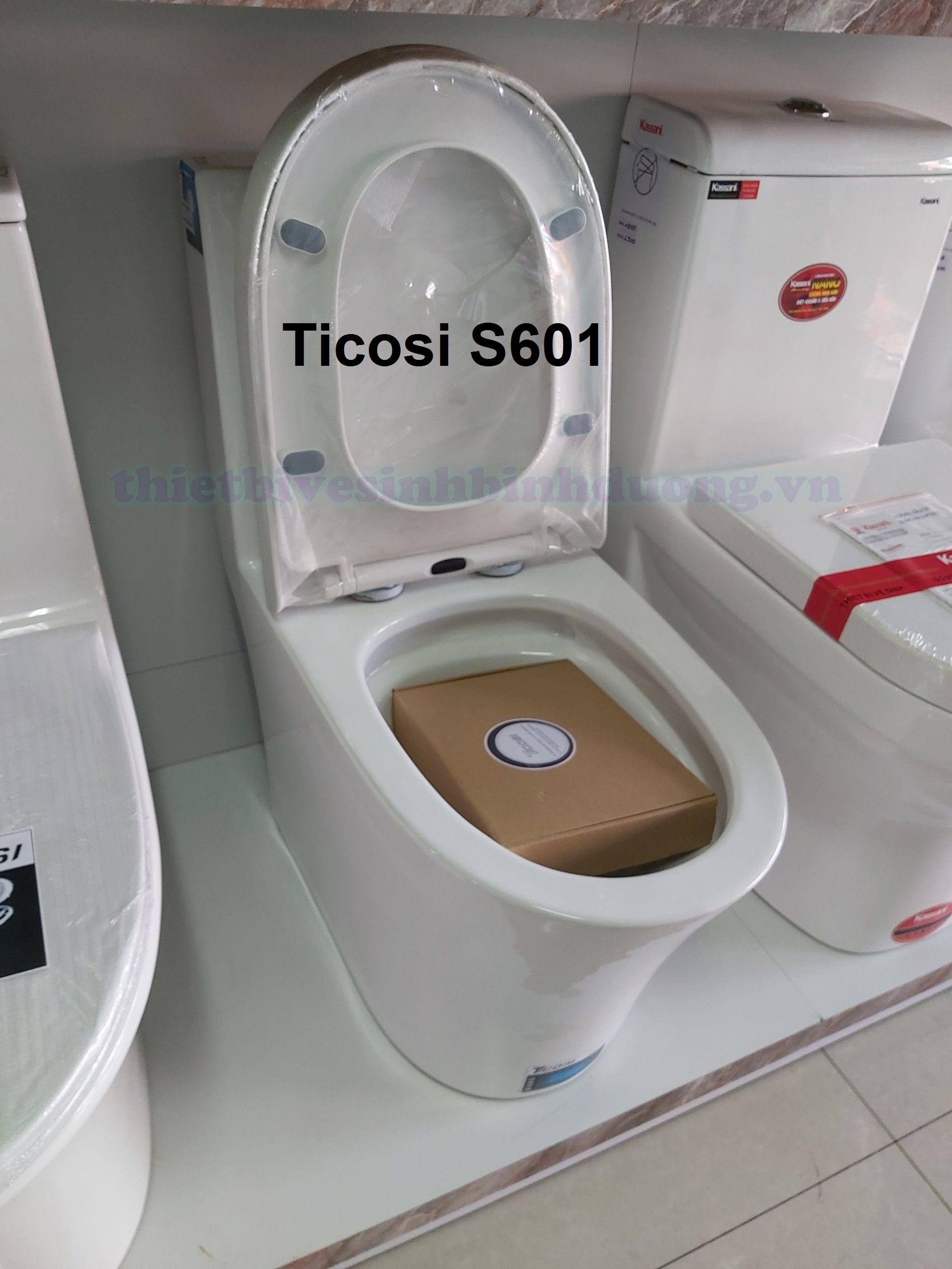 Hình thực tế Bồn cầu TICOSI S601